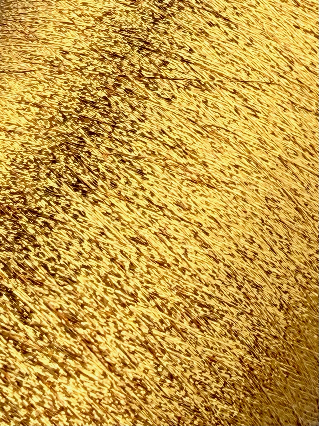 Torcitura di Domaso Lurex 2000m/100g – Glanzgarn Goldton Col. L101K